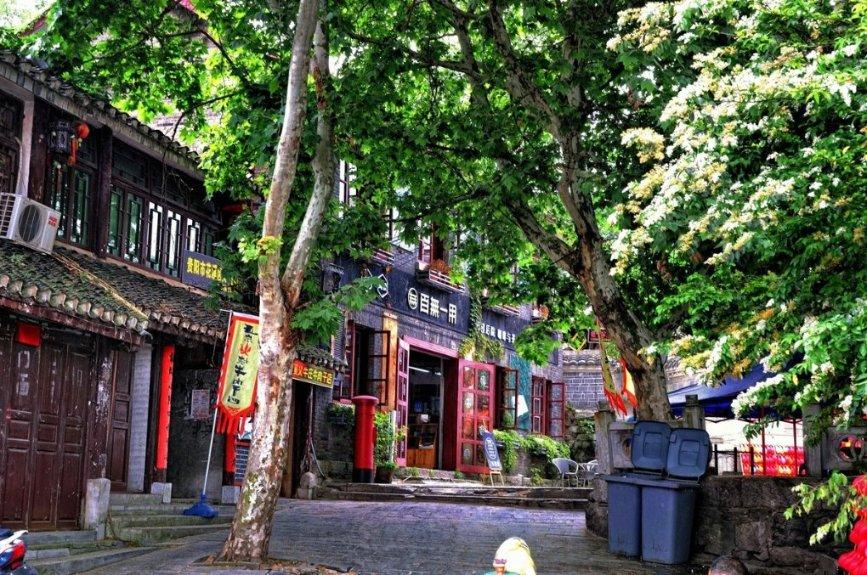 事关寒假校外培训，泰安市教育局发布提醒